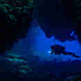 Diving