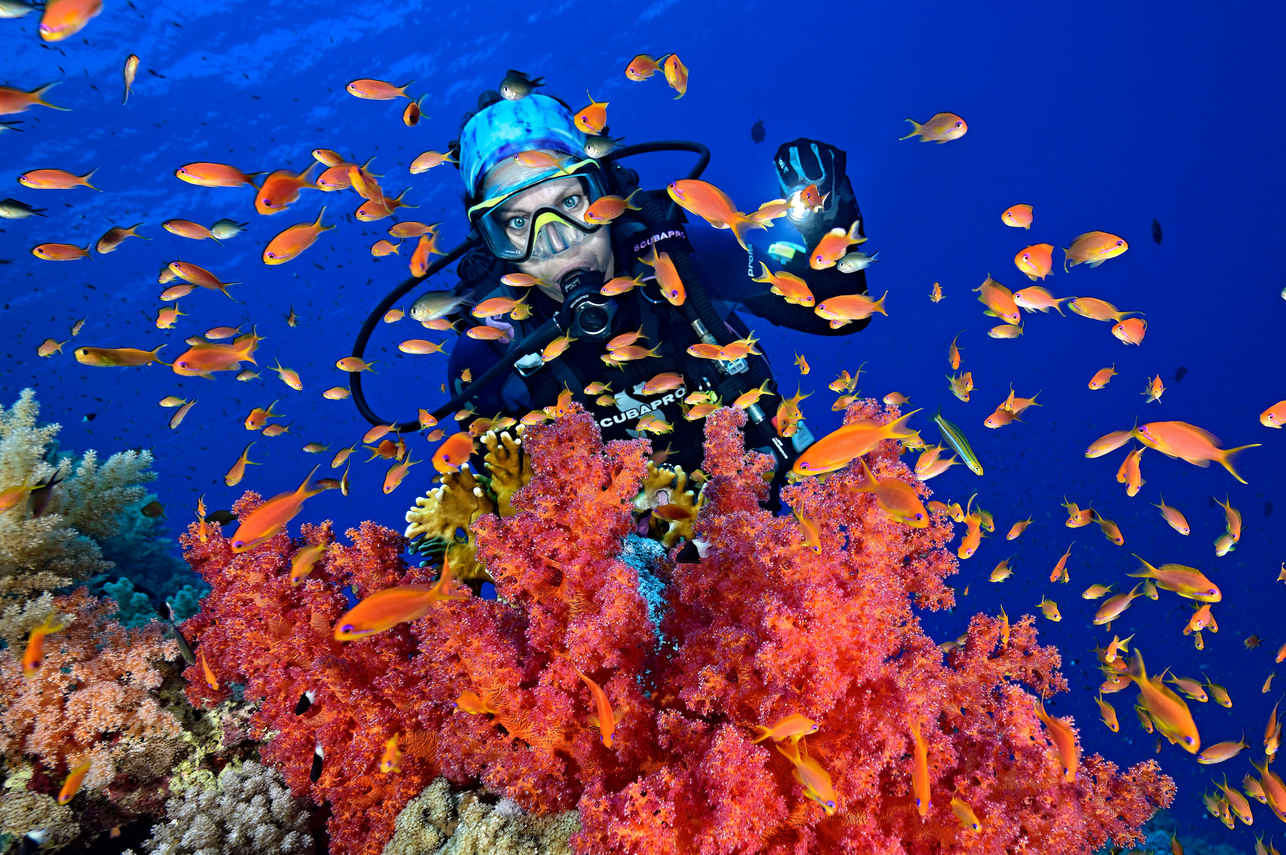 Diving