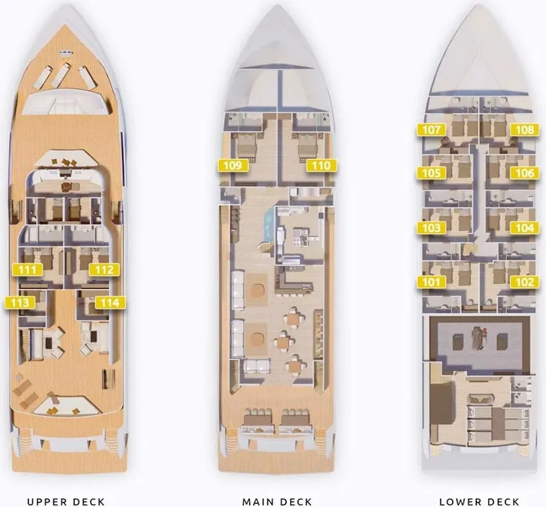 disposizione del ponte