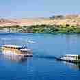 Dahabeya Amoura