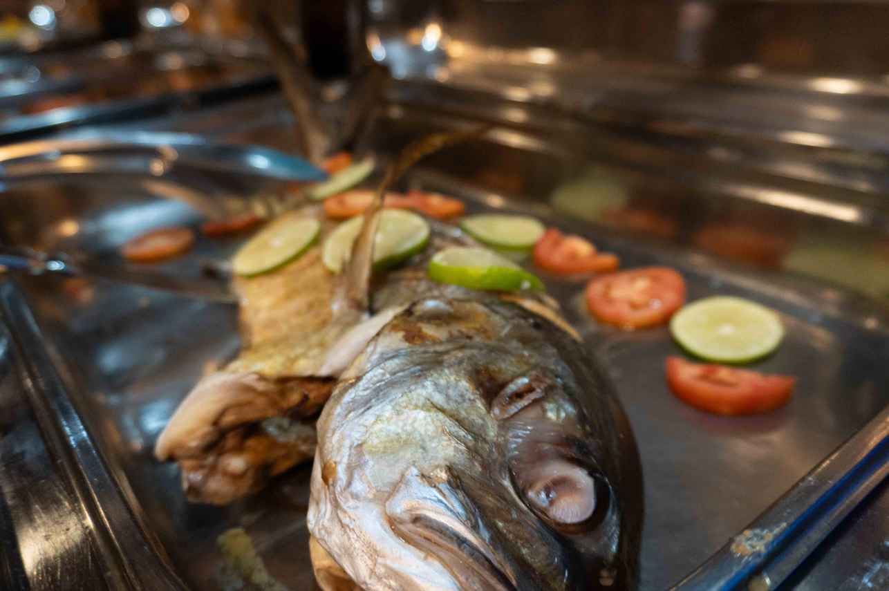 Delicious Cuisine - Princess Maani