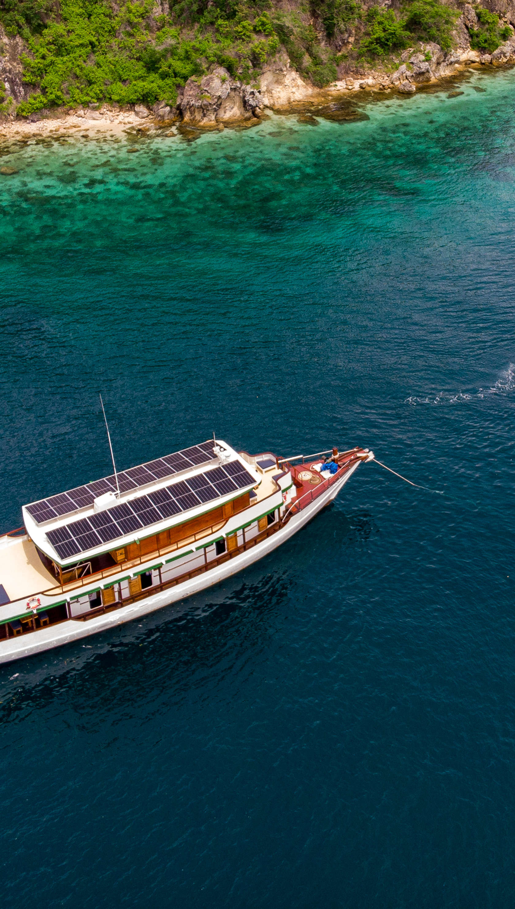Bajau
