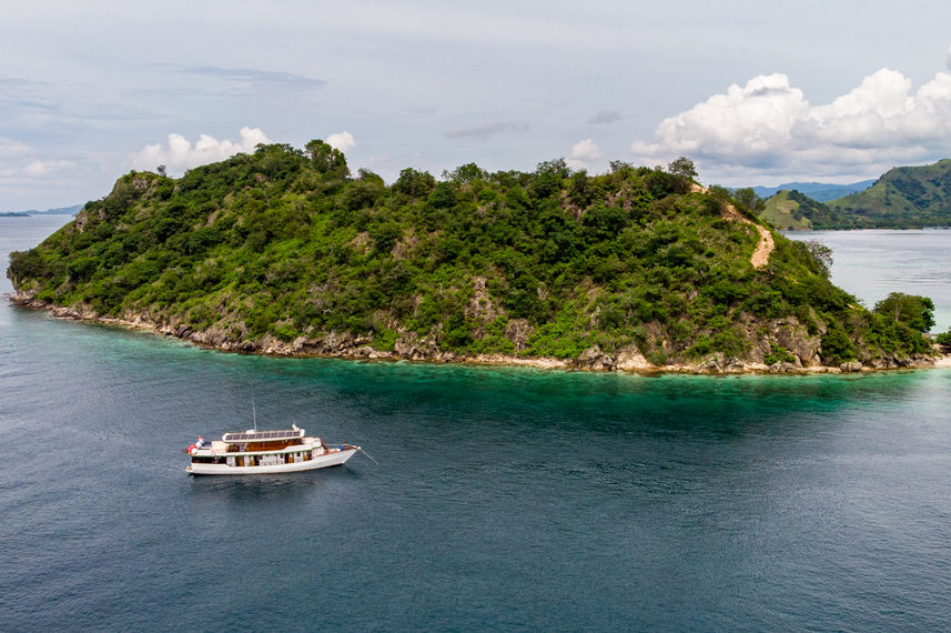 Bajau