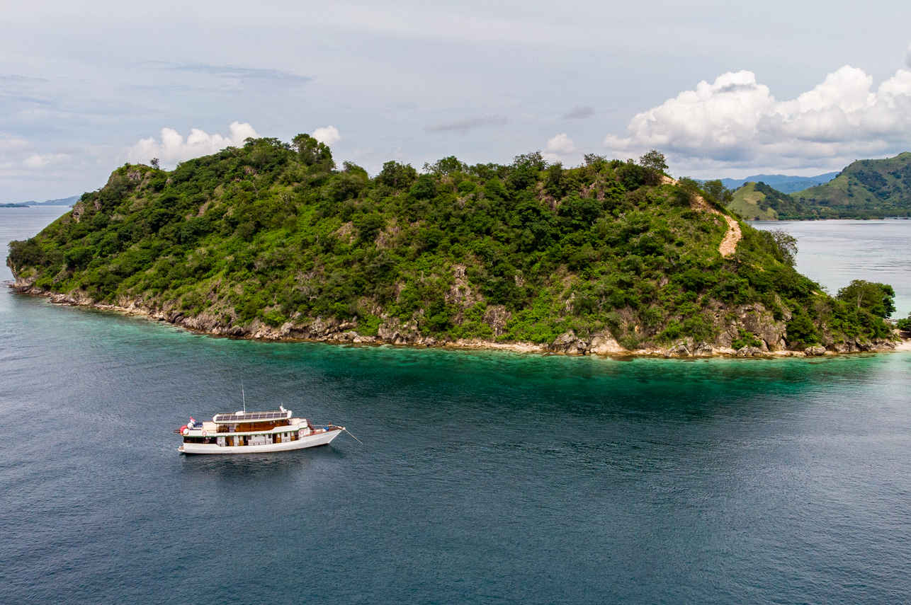 Bajau