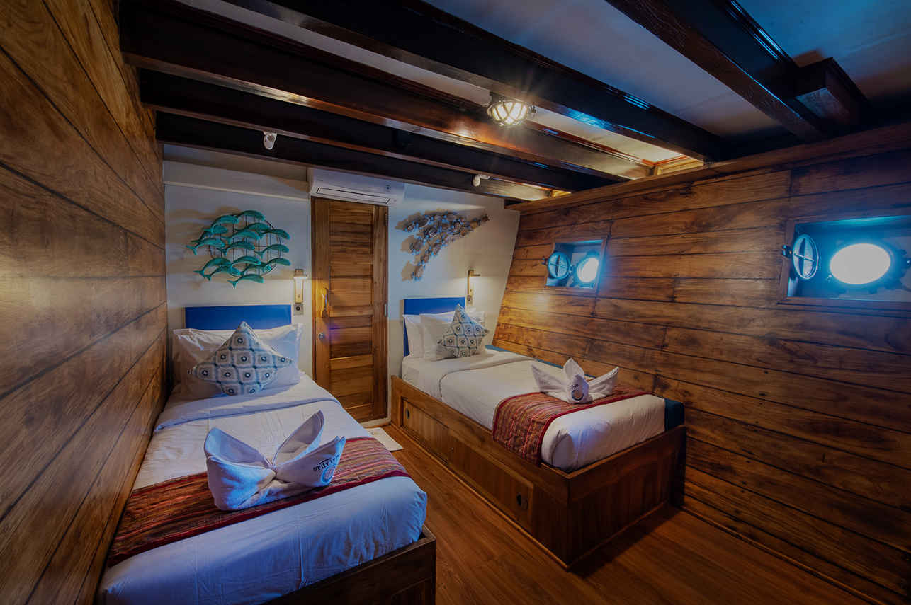 Lower Deck Twin Cabin
