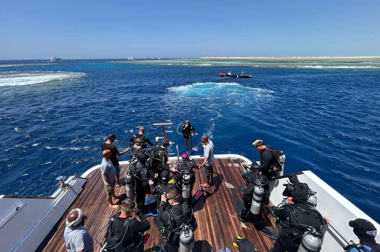 Plataforma  - Alsuraya