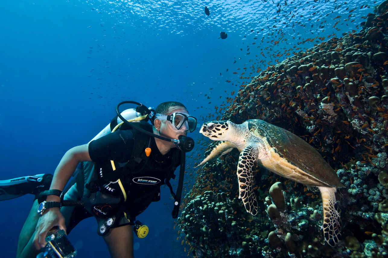 Diving