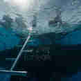 Diving