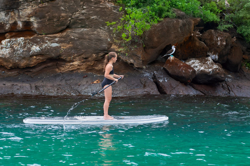 Stand Up Paddle - Tribute