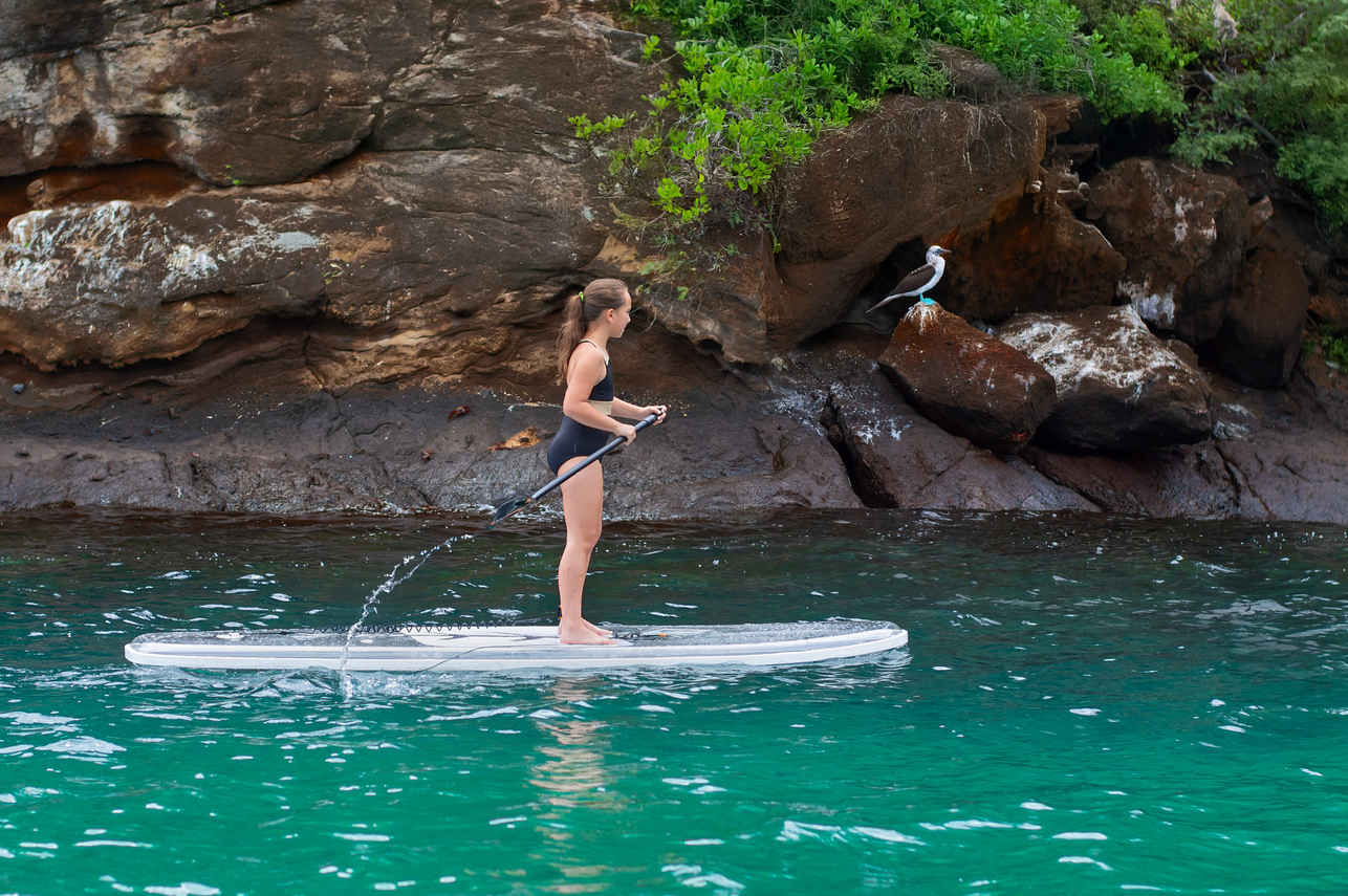 Stand Up Paddleboarding - Tribute