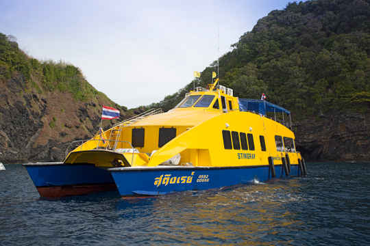 Stingray Thailand