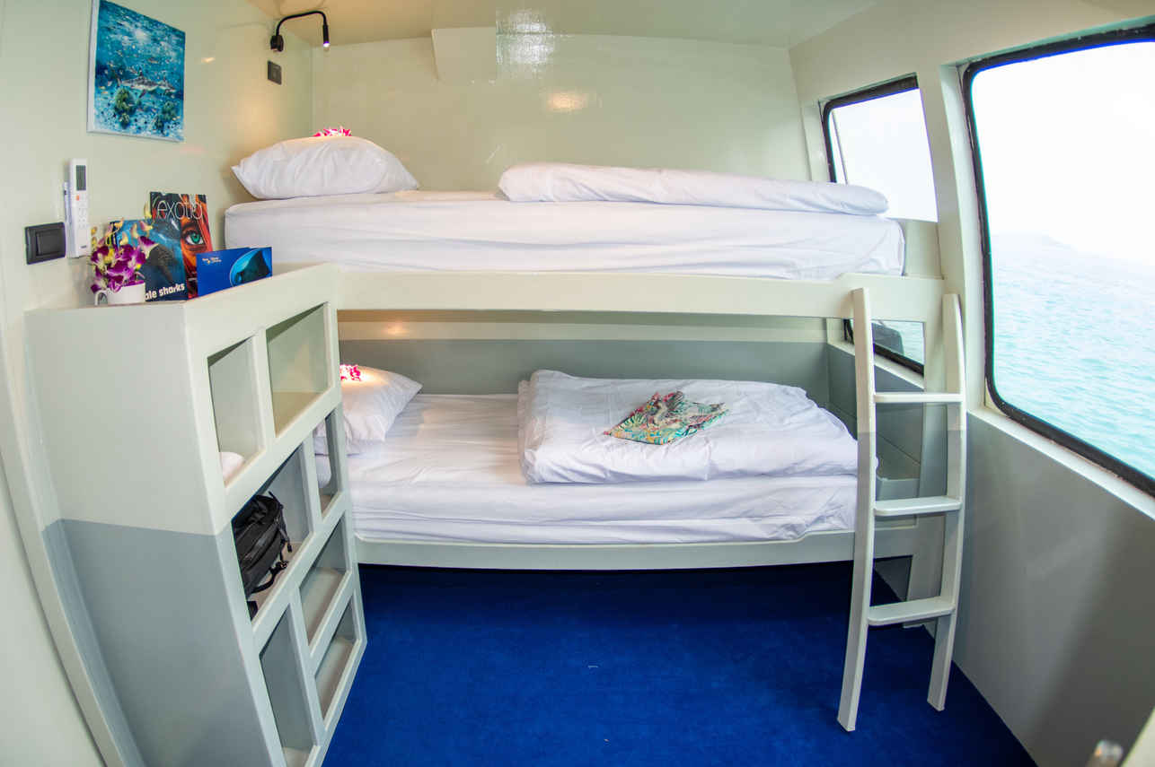 Standard Bunk Cabin - Stingray