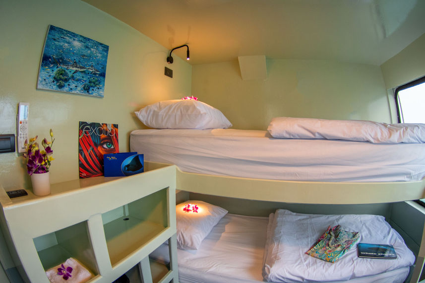 Hut met stapelbed - Stingray Thailand