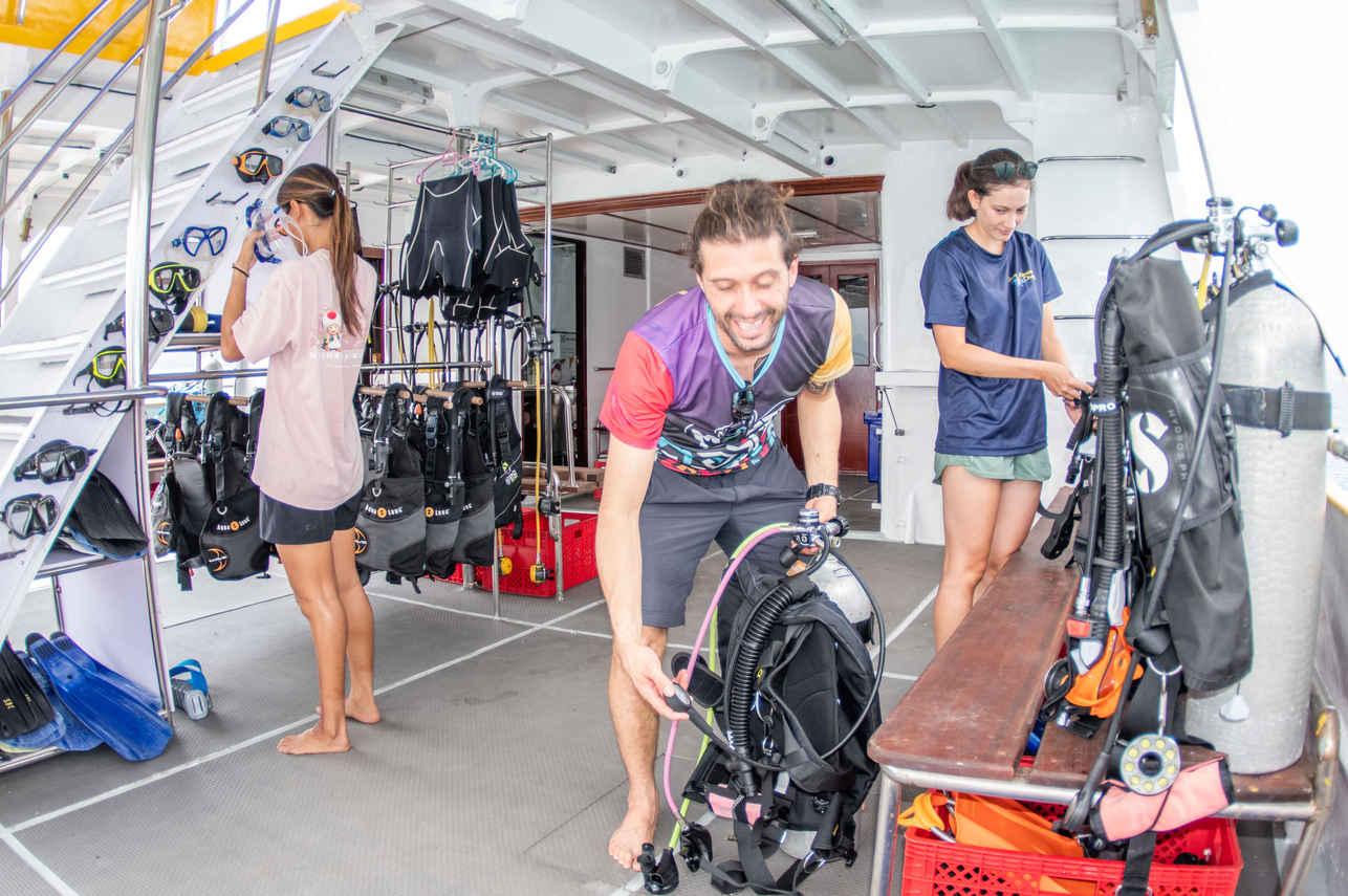 Dive deck - Stingray