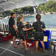 Duikdek - Stingray Thailand