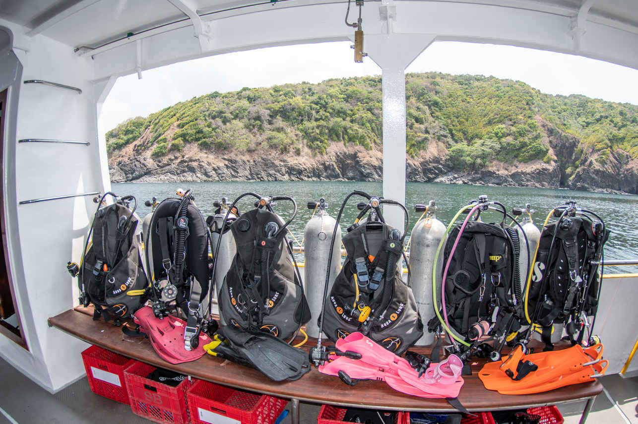 Dive deck - Stingray