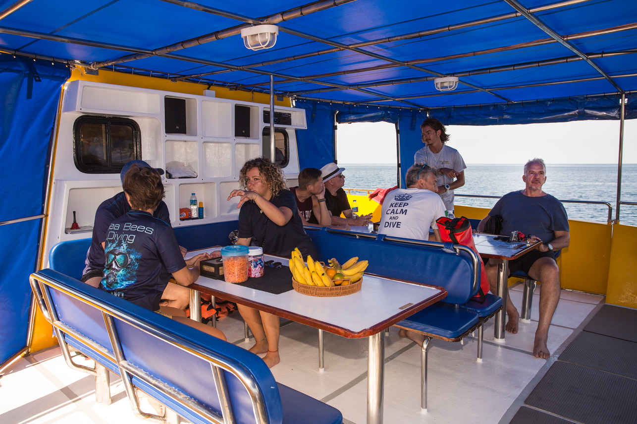Outdoor Dining - Stingray