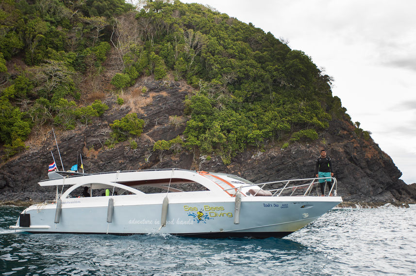 Duikdhoni - Stingray Thailand