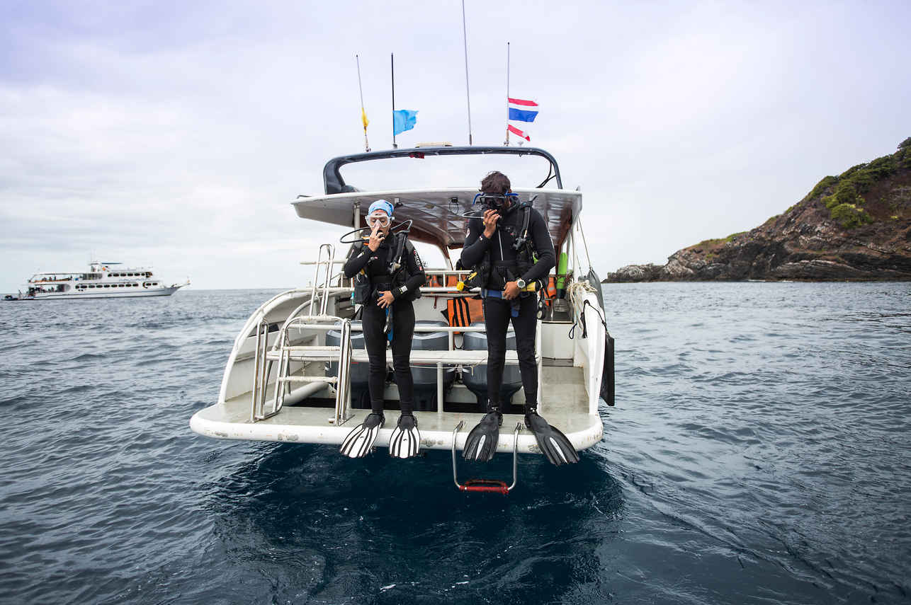 Diving Dhoni - Stingray