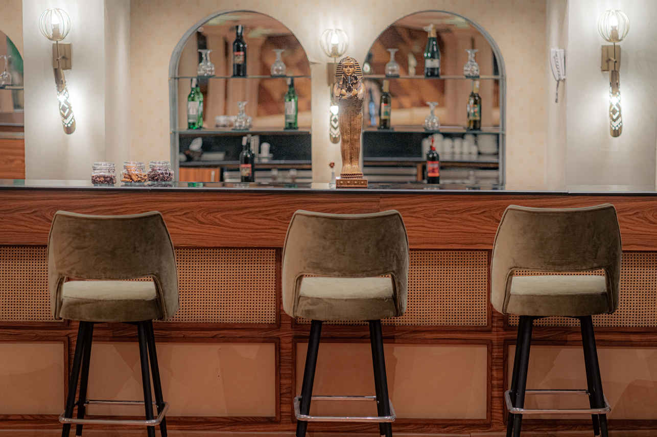 Bar and Lounge Area - Lady Carol