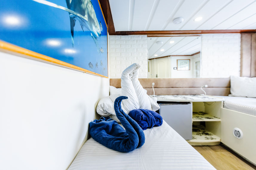 Main Deck Twin Cabin