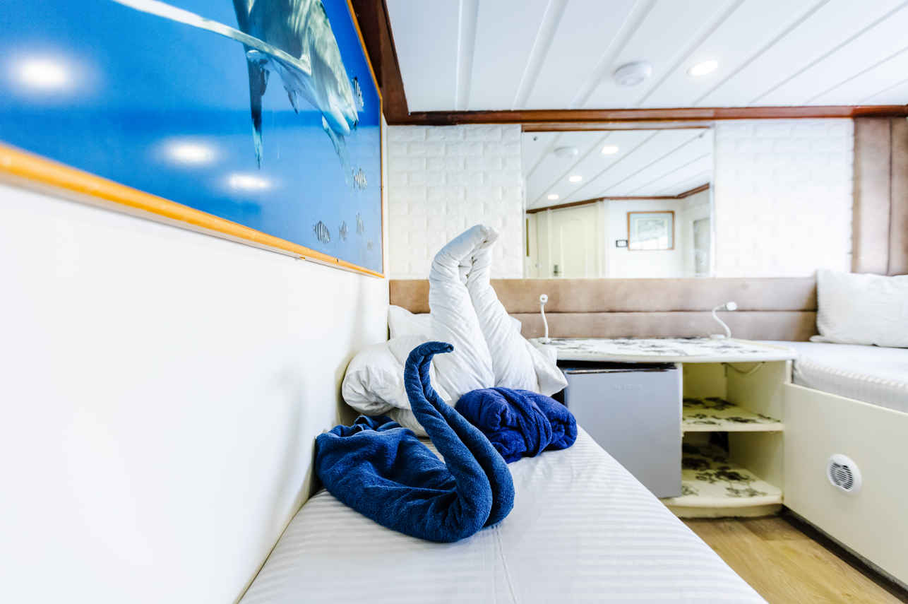 Main Deck Twin Cabin