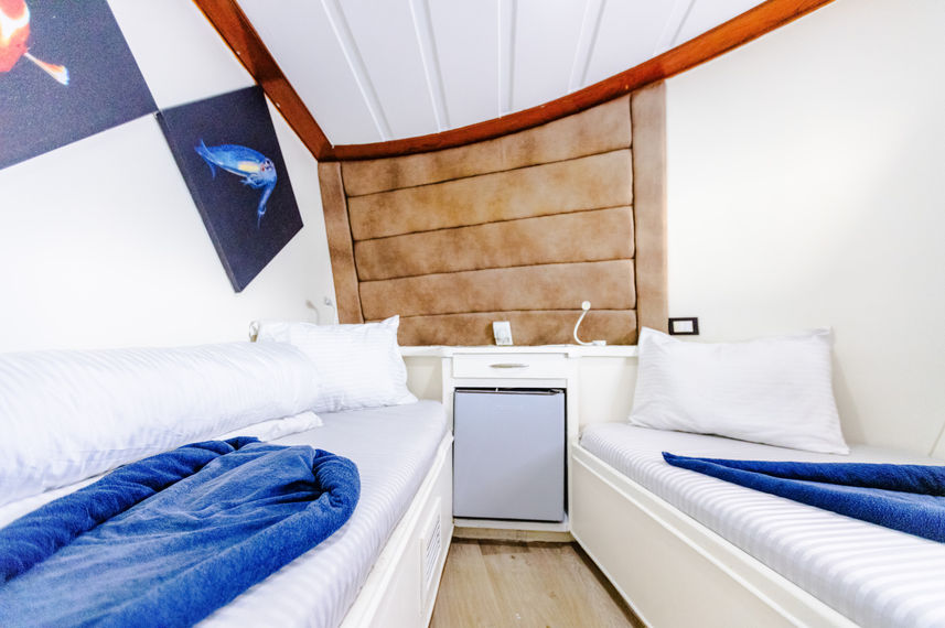 Sun Deck Twin Cabin