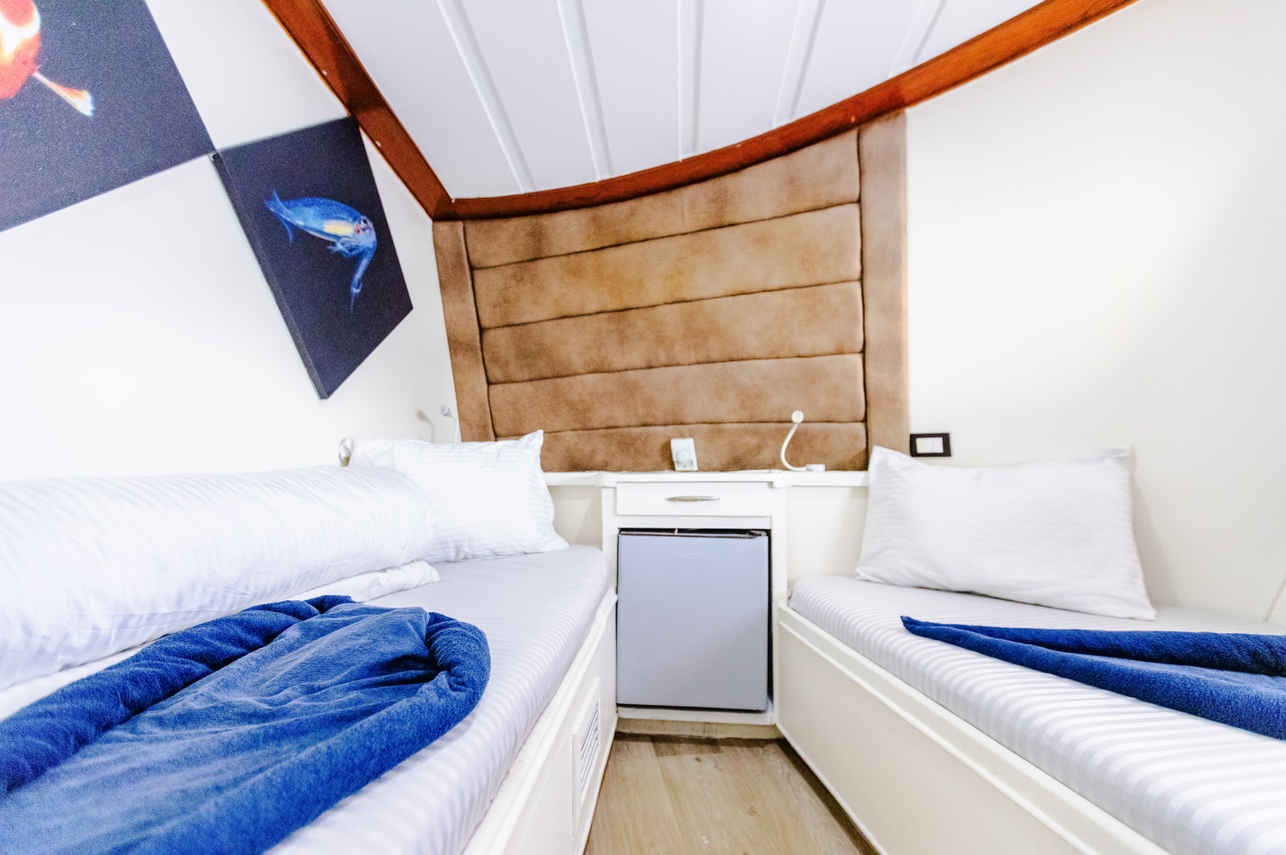 Sun Deck Twin Cabin