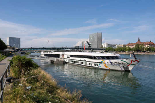 Crucevita