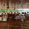 Salon exterior  - RV Champa Pandaw
