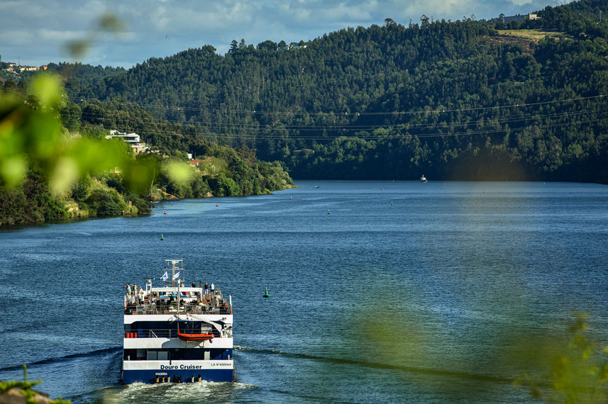 Douro Cruiser