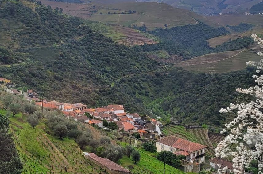 Douro Cruiser