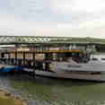Albertina