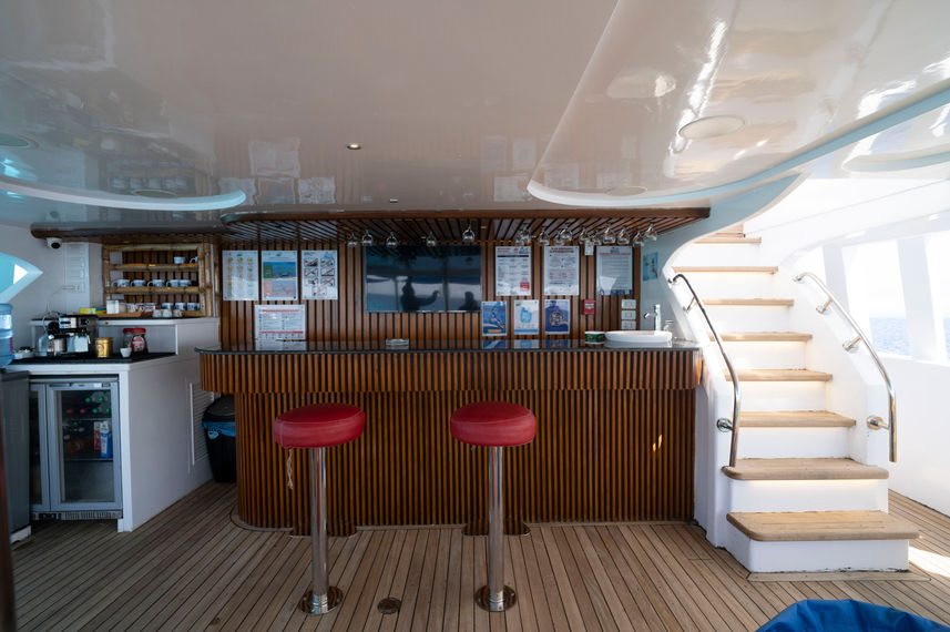 Bar Area - VIP Shrouq