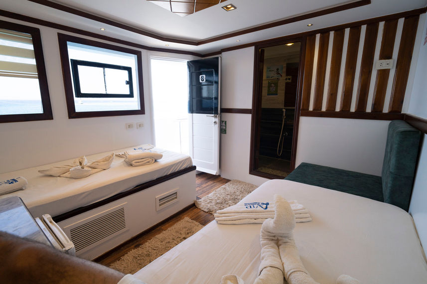 Twin Cabin - Upper Deck
