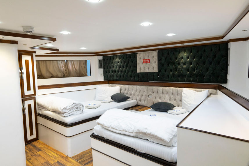 Family Cabin