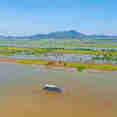 Toum Tiou II