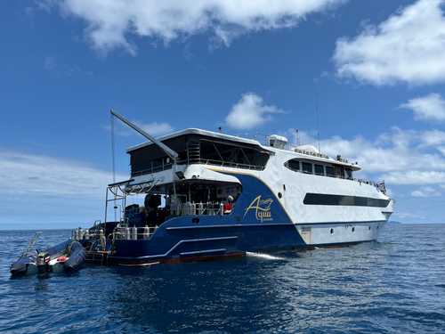 Aqua at sea