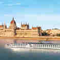 MS Vivaldi