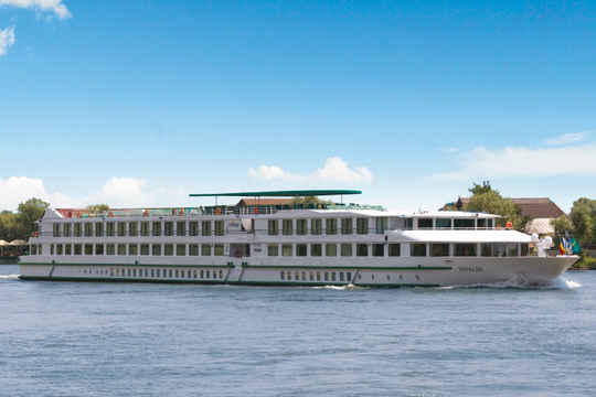 MS Vivaldi