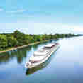 MS Vivaldi