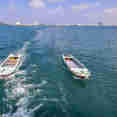 Tenders - Felicidad II
