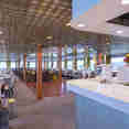 Bar and Lounge Area - MS France