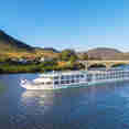 MS Miguel Torga