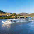 MS Miguel Torga