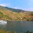 MS Vasco da Gama