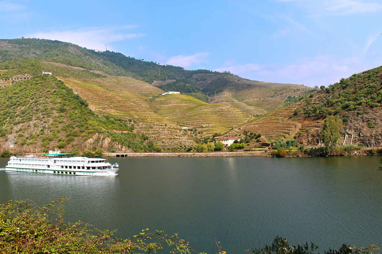 MS Vasco da Gama