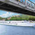 Ms Camargue