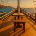 Sun Deck - Blue Lotus