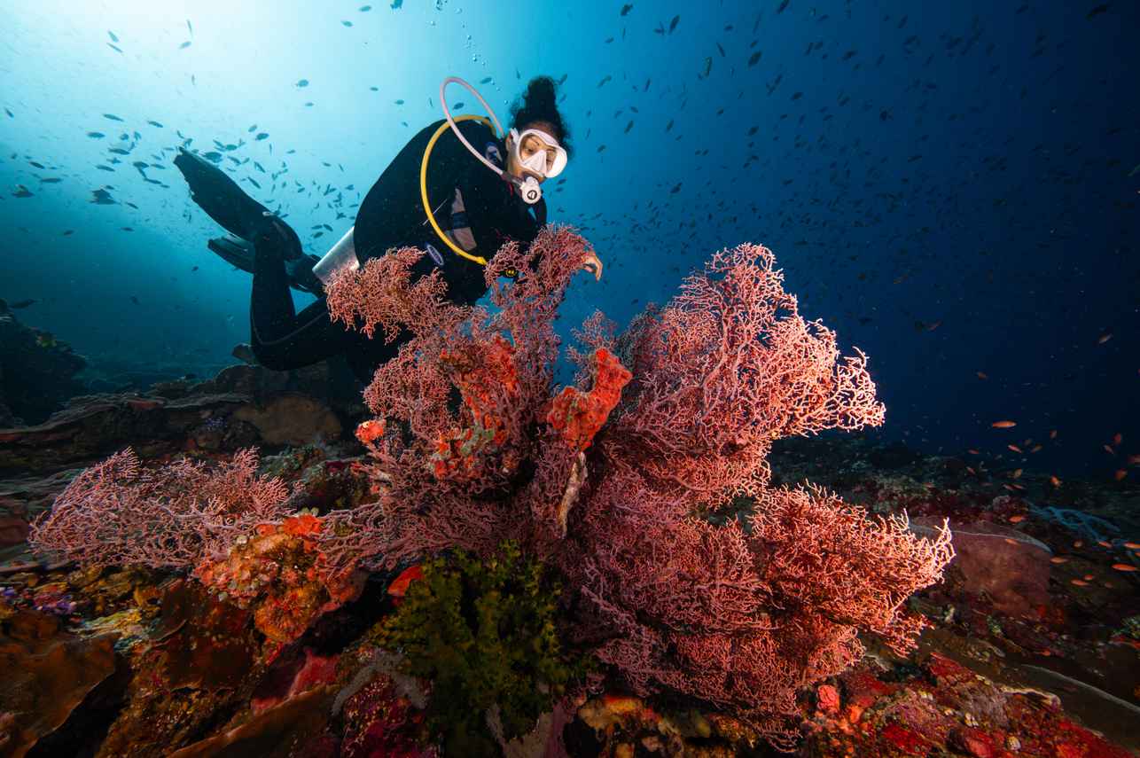 #diving